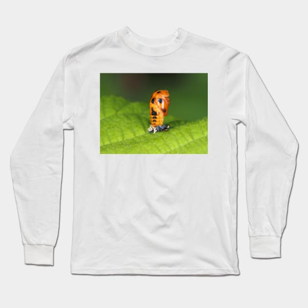 Lady-beetle pupa (Harmonia axyridis) Long Sleeve T-Shirt by SDym Photography